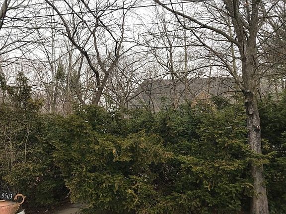 3rd image of 9503 Meadowbrook Ave