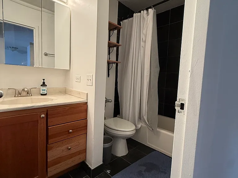 222 E Pearson St #2406 — Photo 9