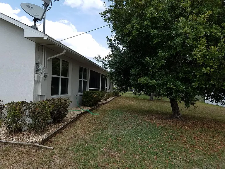 Back Yard