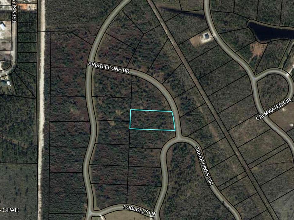 2nd image of 110 Bristlecone Dr