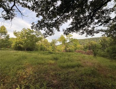Terrapin Rd, Harrison, AR, 72601