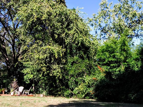 5th image of 7429 Marlbrook Dr