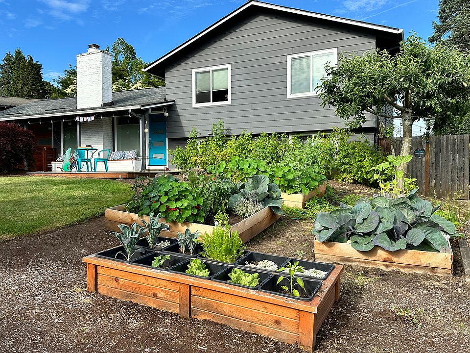 Front of the house / garden bed area