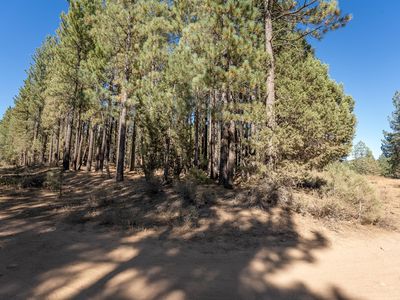 151 Grizzly Way, Portola, CA, 96122