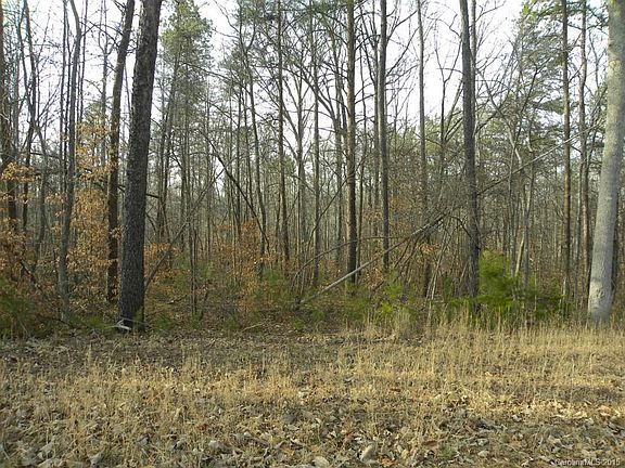 3rd image of 28 Miners Creek Dr