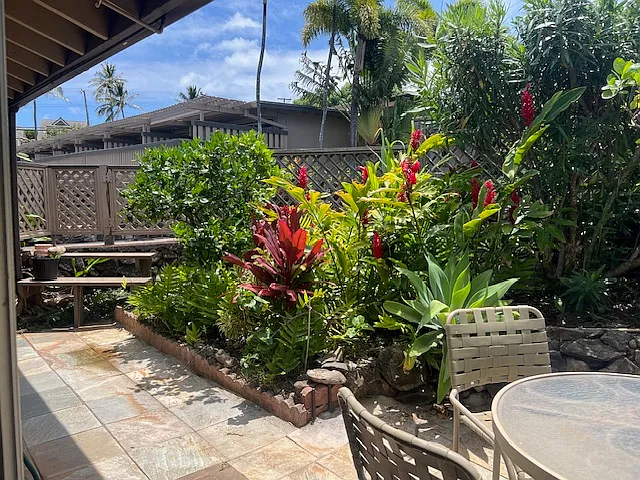 4909 Lower Honoapiilani Rd #O — Photo 8