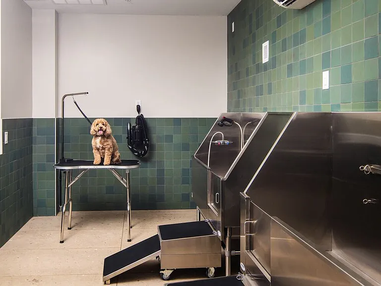 Pet-friendly community with WAG Pet Spa