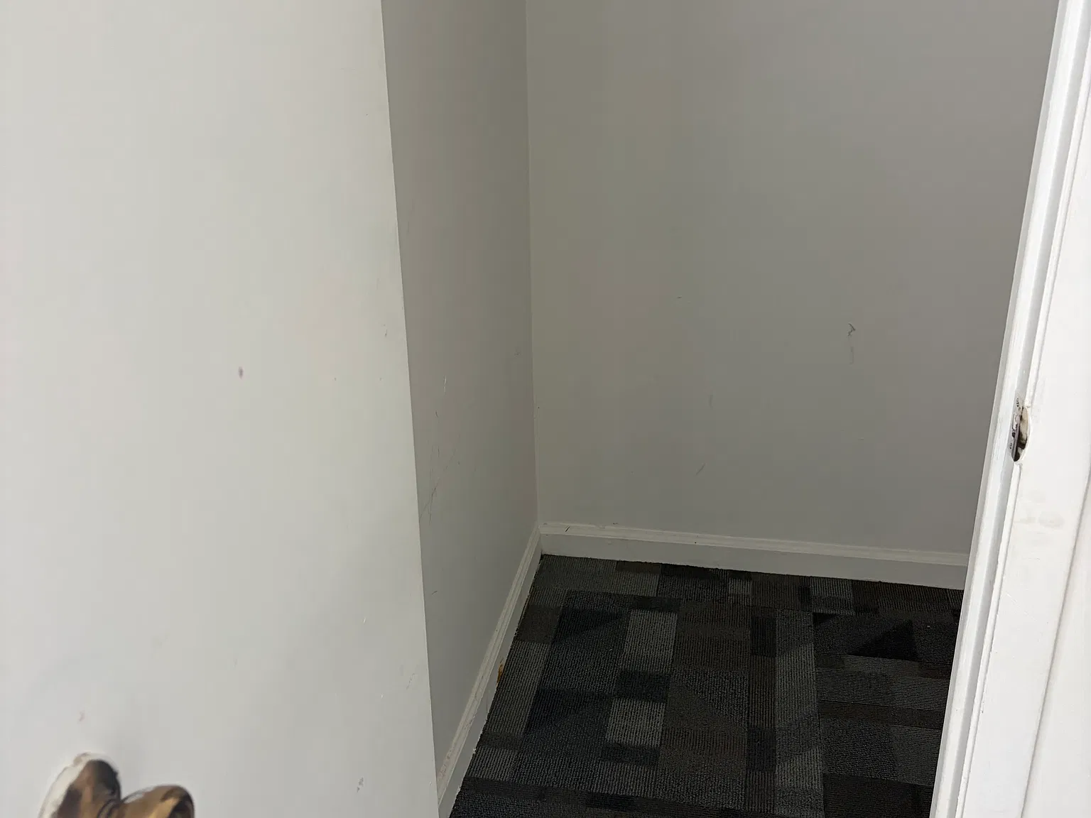 4 bed, 100 sqft, $650 — Photo 1