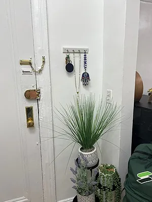 Rented by Manhattan Flats | media 13