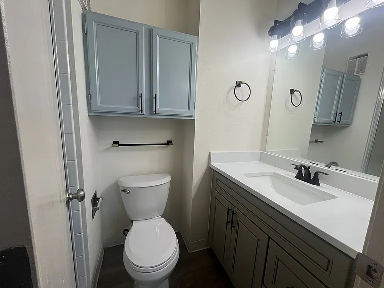 1094 S Dearborn St #308 — Photo 28