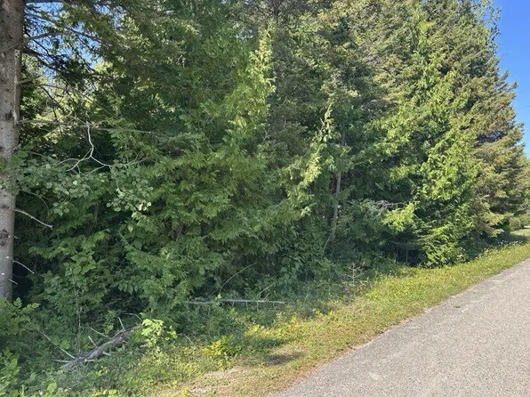 Nhn Bell Bay Rd, Presque Isle, MI 49777