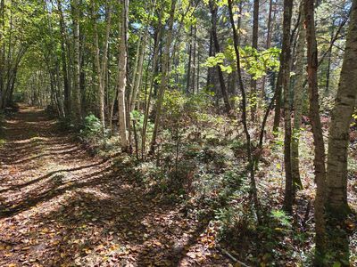 LOT 5 Sandy Ln, Land O Lakes, WI, 54540
