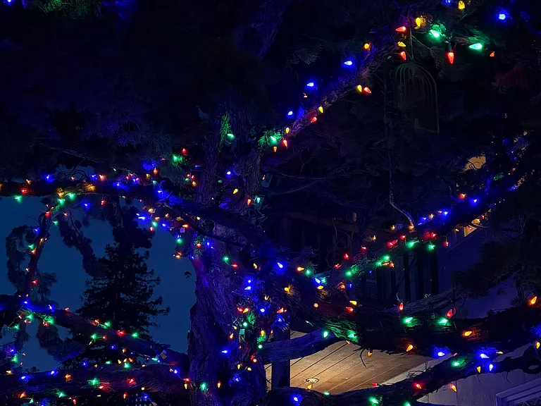 front yard evening lights