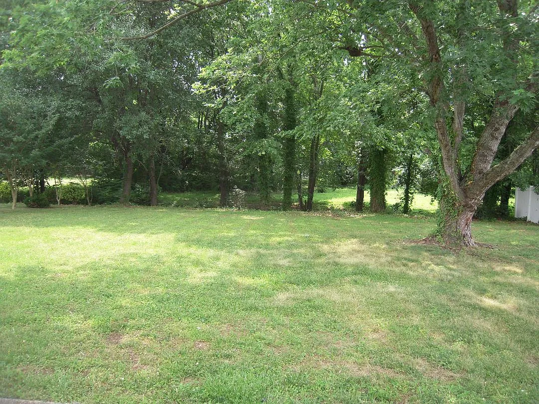 3 bed, 1424 sqft, $2,395 — Photo 4