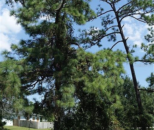 5th image of 3400 Pine Needle Trl