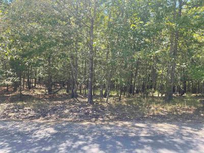 8 Manso Pl, Hot springs village, AR, 71909