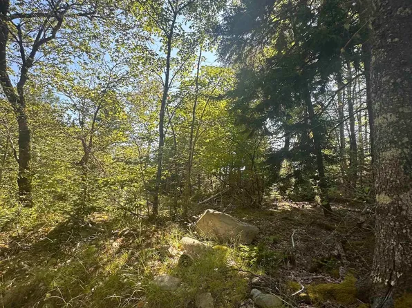 Pid 70241864 Wellington Rd, Buckfield, NS B0T 1E0
