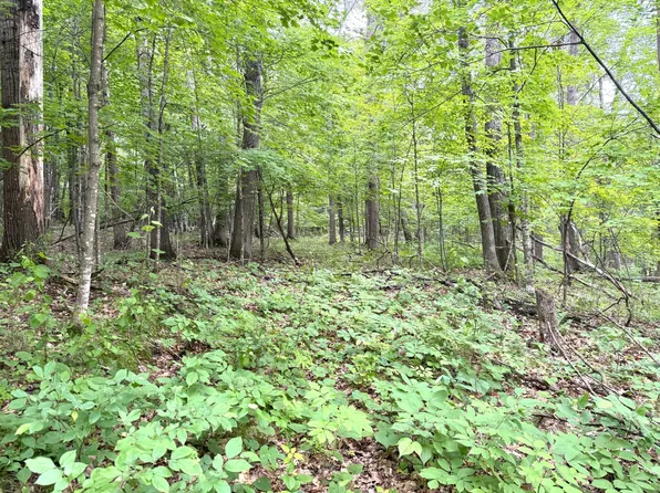 80AC Vineland Rd, Onamia, MN 56359