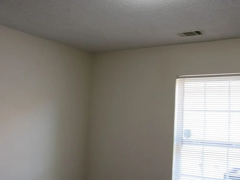 819 Tatem St — Photo 14