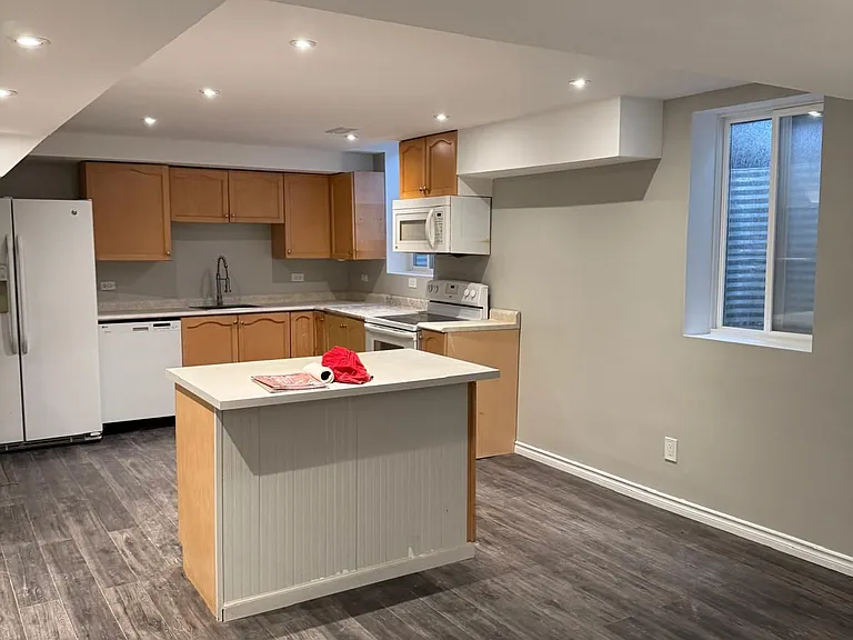 18 Red Tail Ct #BASEMENT — Photo 8