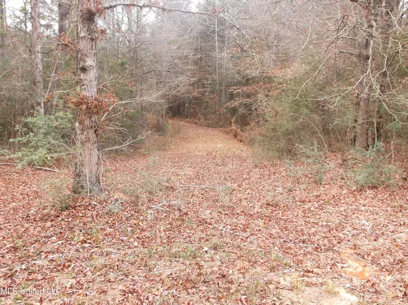 1021 Austin Smith Rd, Ruth, MS 39662