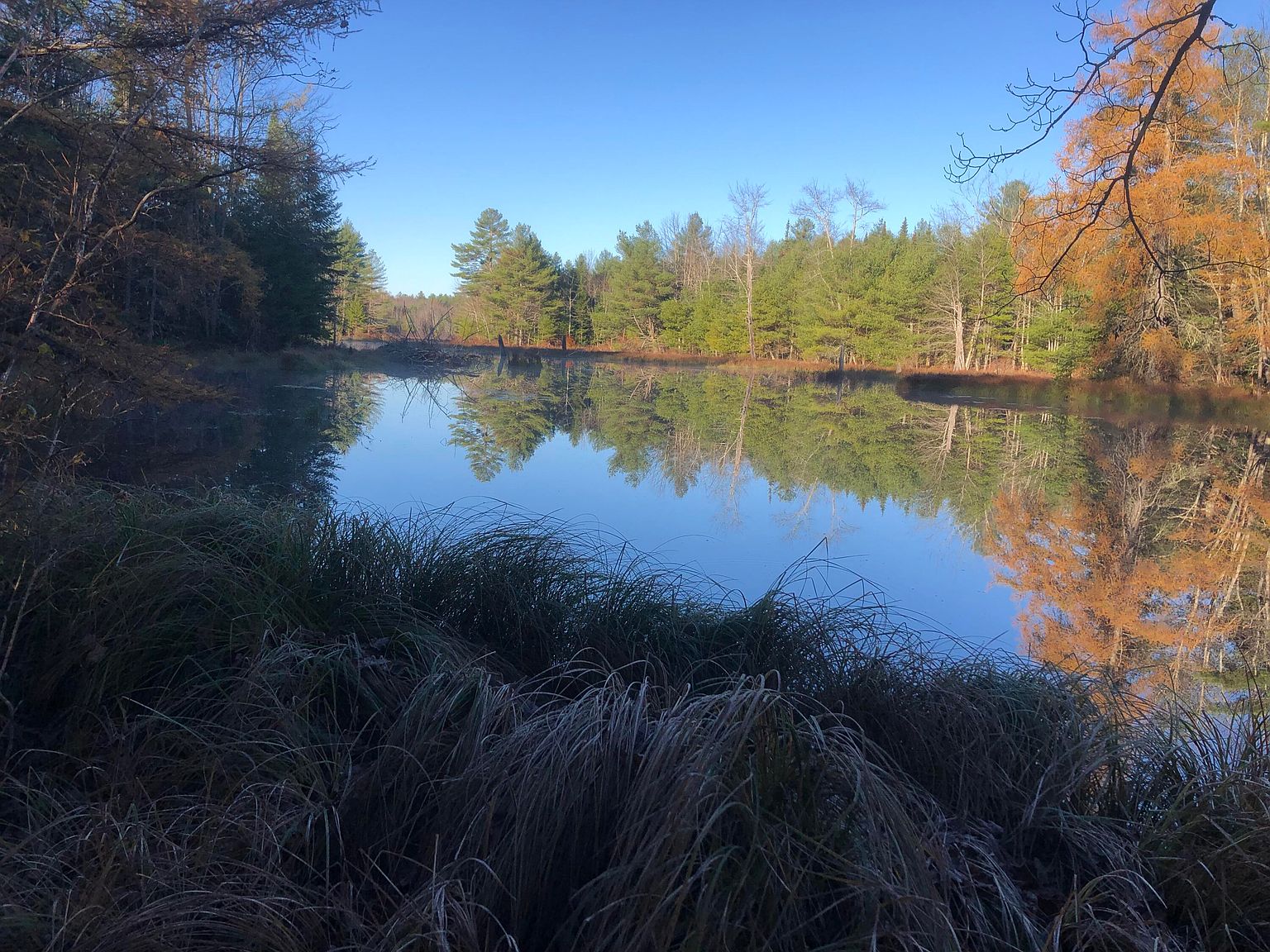 M5 Lot 20 Old County (AKA Bog) Road Lot 20, Dresden, ME 04342 MLS 1547109 Zillow