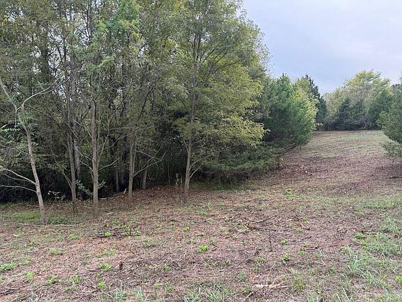4th image of LOT 4 Moneta Rd