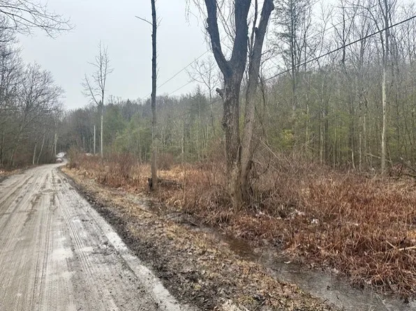 0 Spring Rd S Lot 11, Dansville, NY 14437