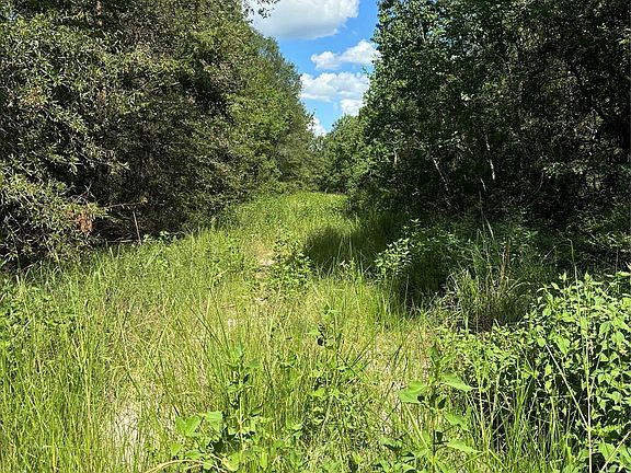 3rd image of Lake Forest Rd Lot 384