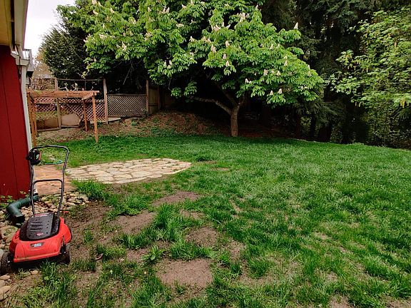 Additional back yard phtos