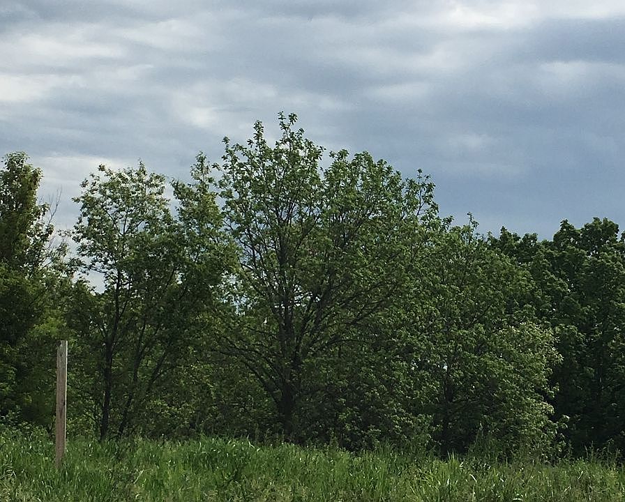 2nd image of 425 Westridge Pkwy
