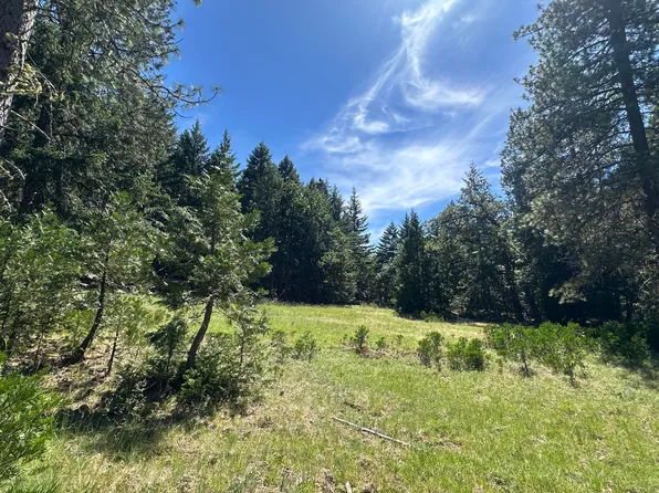 Brannan Mountain Rd, Willow Creek, CA 95573