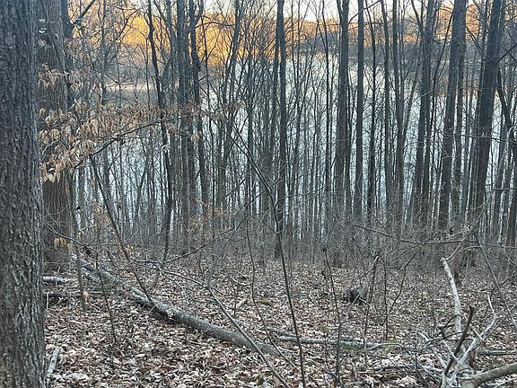 2nd image of 1 Back Bone Rd