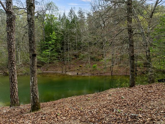 5th image of Long Leaf Rd