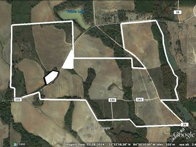County Road 133, Bluffton, GA, 39824