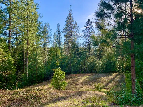 12453 New Brunswick Ct, Grass Valley, CA 95945