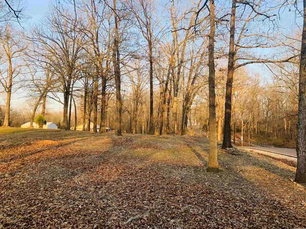 195 Dogwood Ln, Lakeview, AR 72642