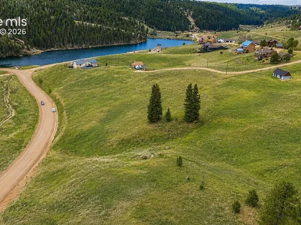 175 Twin Lakes Dr, Divide, CO 80814