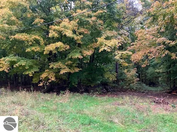 W County Line Rd, Buckley, MI 49620
