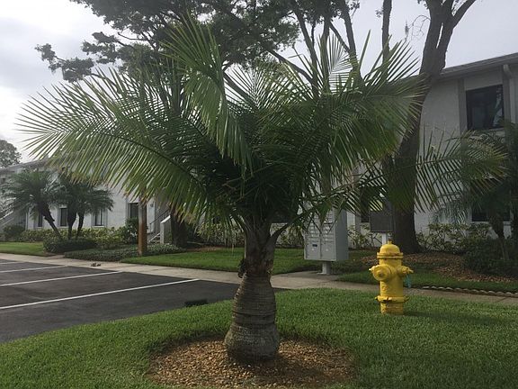 2nd image of 262 Cypress Ln