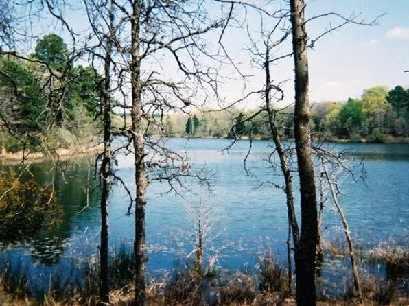 9349 Safari Shores Dr, Larue, TX 75770