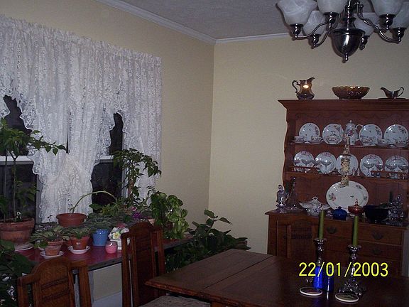 dining room has large sunny windows and new light fixture, crown molding