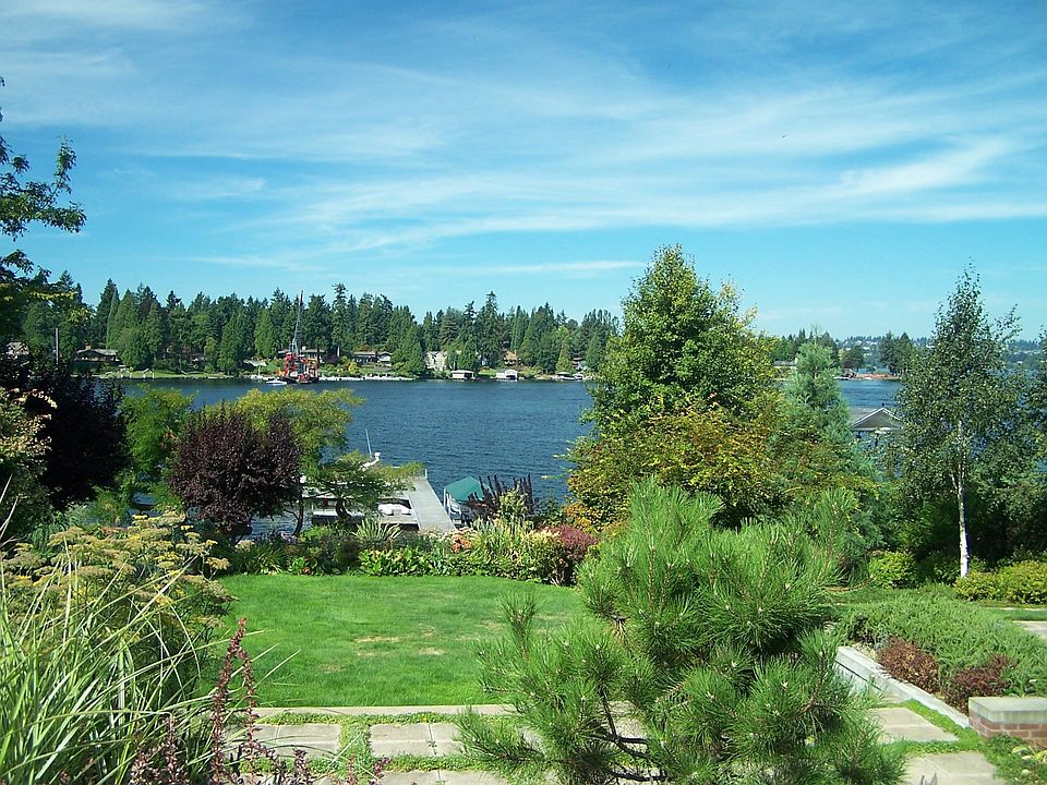View from the backyard...