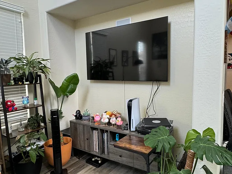Living room entertainment nook (TV and furniture come with unit)