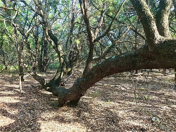 3rd image of 8126 Chantilly Trl