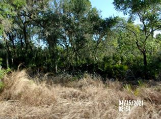 261 Condor Ave, Sebring, FL 33870