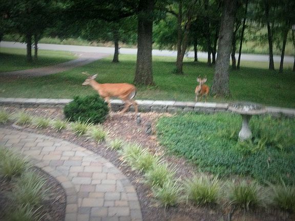 View from front porch