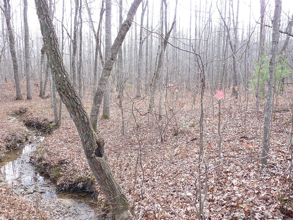 2nd image of Kingsbridge Ln