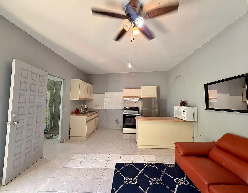 1 bed, 1.0 bath, 600 sqft, $1,100 — Photo 3