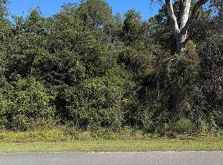 Plum Tree Ln, Conway, SC 29526